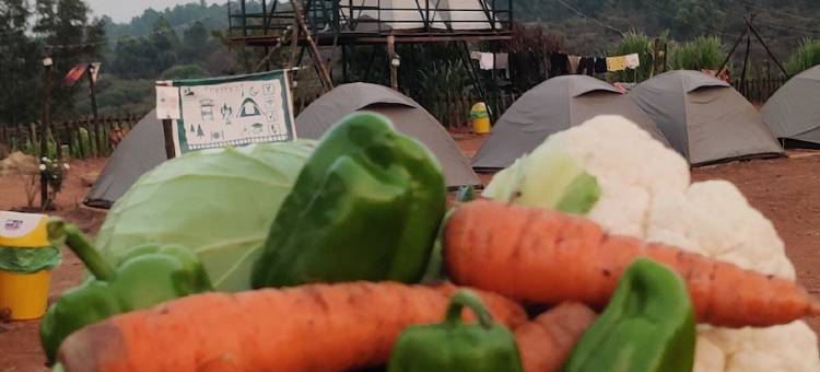 尤瓦亚特里露营地(Yuva Yatri Campsite)图片