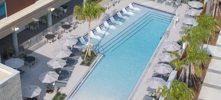 Hilton Jacksonville at Mayo Clinic图片