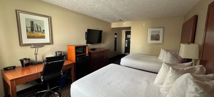 温德姆花园梅迪辛哈特会议中心(Wyndham Garden Medicine Hat Conference Center)图片