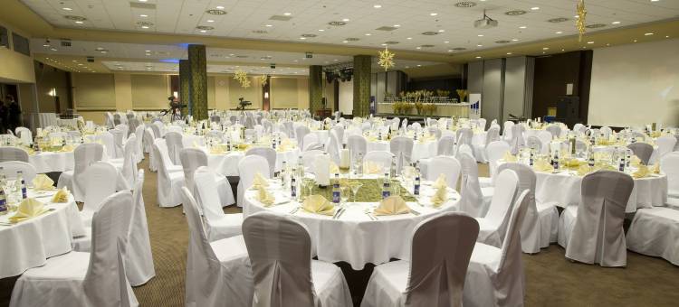 Holiday Inn 日利纳(Holiday Inn ZILINA by IHG)图片