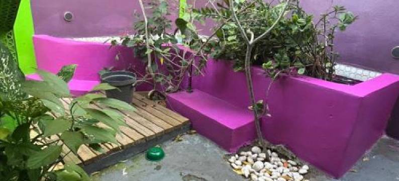 Vieques Good Vibe Guest House图片