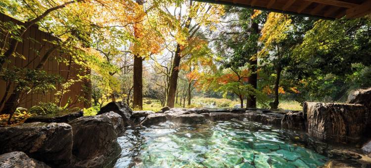 古汤温泉 佐贺风雅(Furuyu Onsen Saga Fuga)图片