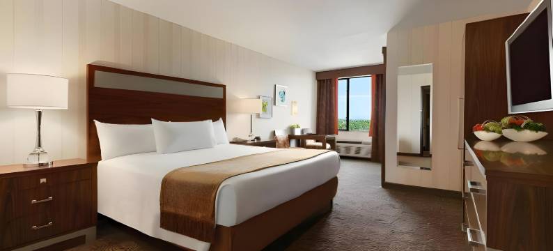 黄金海岸娱乐场酒店(Gold Coast Hotel and Casino)图片