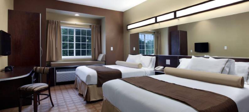 卡罗尔顿麦客达套房酒店(Microtel Inn & Suites by Wyndham Carrollton)图片