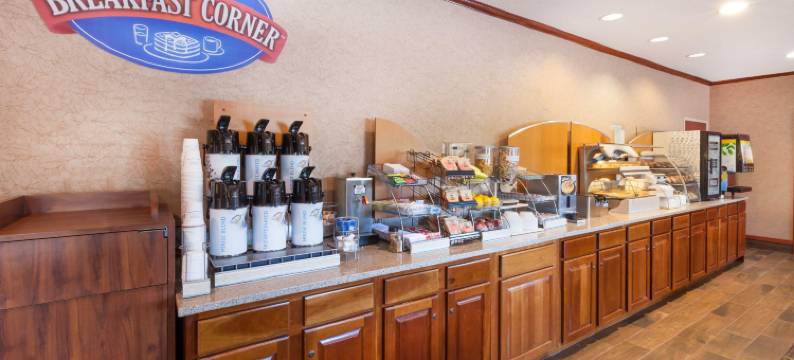 切尔西呗盟套房酒店(Baymont by Wyndham Chelsea)图片