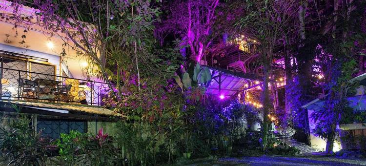 卡萨德尔阿布罗树屋(限成人)(Hotel Casa del Arbol Manuel Antonio - Adults Only)图片