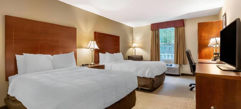 福克斯伯勒-曼斯菲尔德舒适酒店(Comfort Inn Foxboro - Mansfield)图片