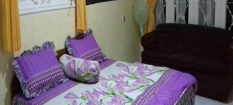 彭卡克别墅度假村(Villa Puncak Resort)图片