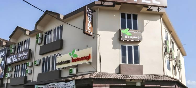 新曙光酒店(New Dawn Hotel Pontian Sdn Bhd)图片