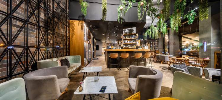 布拉迪斯拉发多瑙河丽柏酒店(Park Inn by Radisson Danube Bratislava)图片