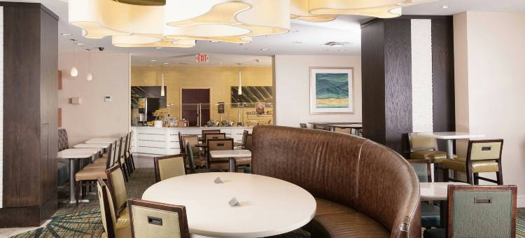 奥兰多会议中心／国际大道区万豪SpringHill酒店(SpringHill Suites Orlando Convention Center/International Drive Area)图片