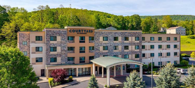 奥尼昂塔万怡酒店(Courtyard by Marriott Oneonta Cooperstown Area)图片