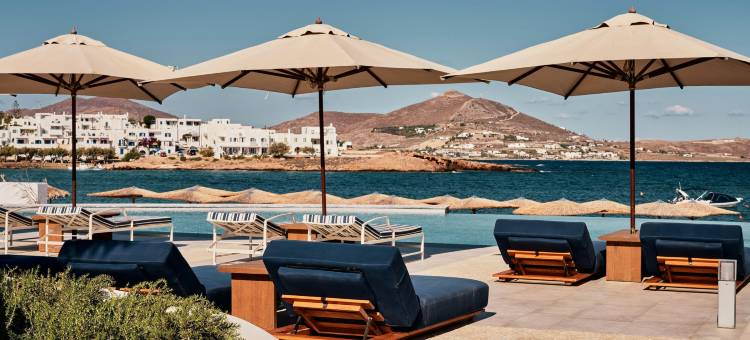 科斯梅豪华精选度假酒店，帕罗斯(Cosme, a Luxury Collection Resort, Paros)图片