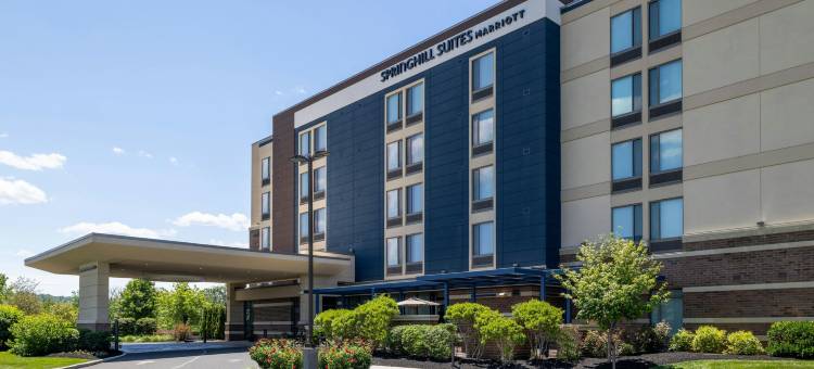 阿伦敦伯利恒森特瓦利SpringHill Suites酒店(SpringHill Suites Allentown Bethlehem/Center Valley)图片