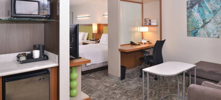 亨德森拉斯维加斯SpringHill Suites 酒店(SpringHill Suites Las Vegas Henderson)图片