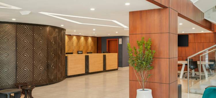 希尔顿阿迪斯亚贝巴机场逸林酒店(DoubleTree by Hilton Addis Ababa Airport)图片