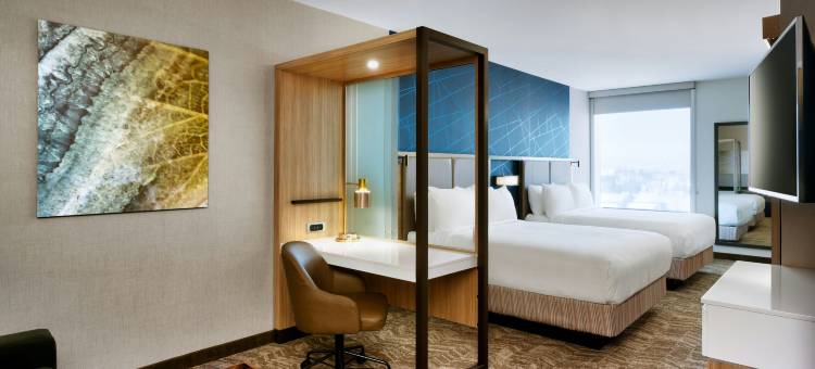 卡顿伍德SpringHill Suites酒店(SpringHill Suites Cottonwood)图片