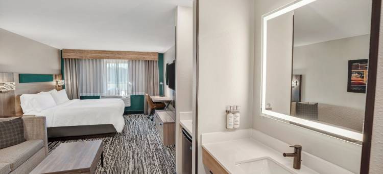 海沃德智选假日套房酒店(Holiday Inn Express & Suites HAYWARD by IHG)图片