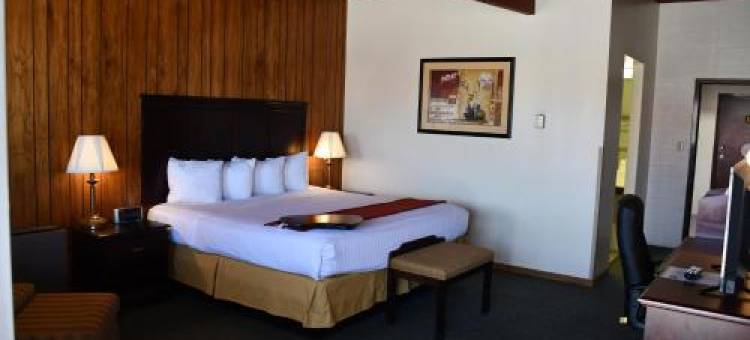 草原旅馆(Prairie Inn)图片