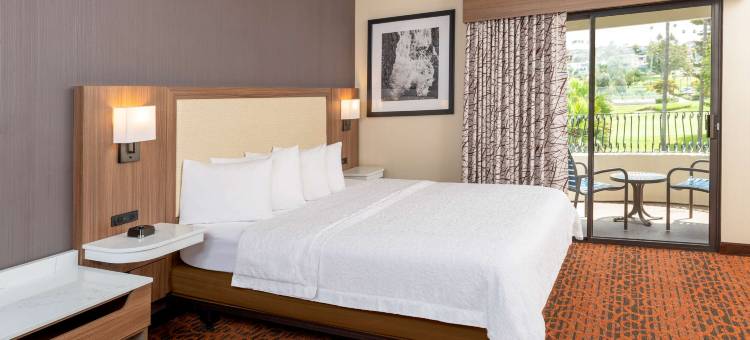 圣克莱门特欢朋套房酒店(Hampton Inn & Suites San Clemente)图片