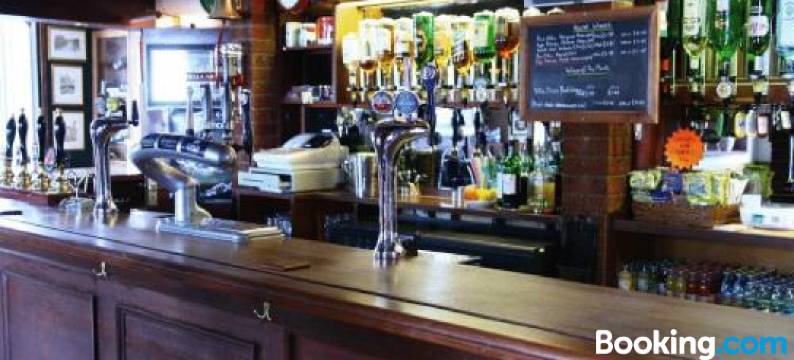 狮子&小提琴酒店(Lion and Fiddle)图片