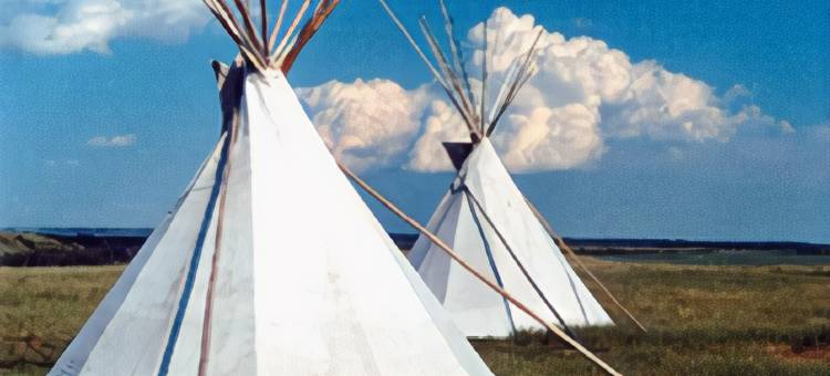 凯艺套房酒店(Quality Inn & Suites)图片