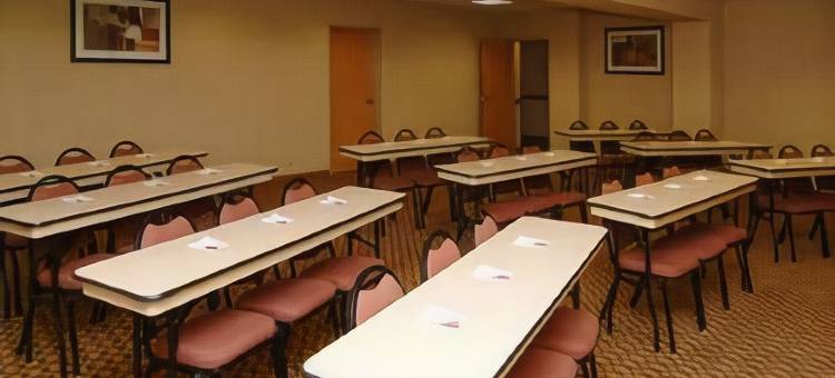 圣安吉洛舒适套房酒店-近大学(Comfort Suites San Angelo Near University)图片