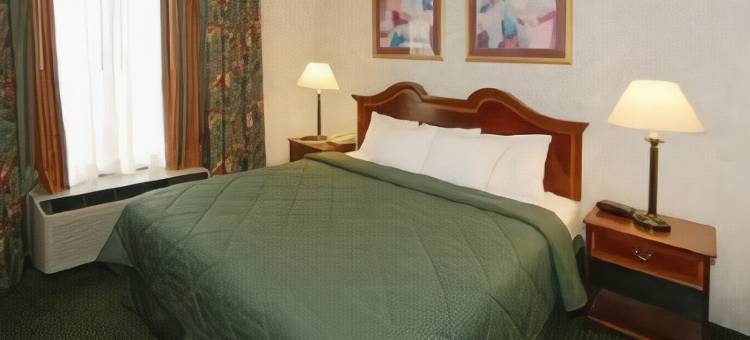 桃树角落舒适套房酒店(Comfort Inn & Suites Peachtree Corners)图片