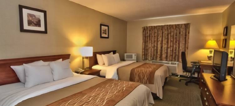 威尔克斯巴里竞技场舒适套房酒店(Comfort Inn & Suites Wilkes Barre - Arena)图片