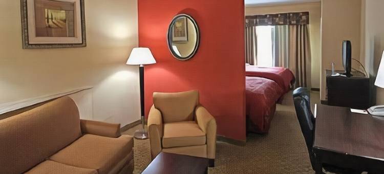 查尔斯湖舒适套房酒店(Comfort Suites Lake Charles)图片