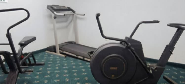 法尔菲里厄斯高速公路281号伊克诺旅馆(Econo Lodge Falfurrias Hwy 281)图片