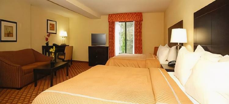 哥伦比亚东北-杰克逊堡舒适套房酒店(Comfort Suites Columbia Northeast - Fort Jackson)图片