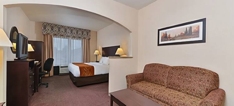 66 号公路附近舒适全套房酒店(Comfort Suites Near Route 66)图片