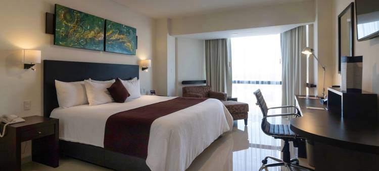 托雷翁米西翁酒店(Mision Torreon)图片