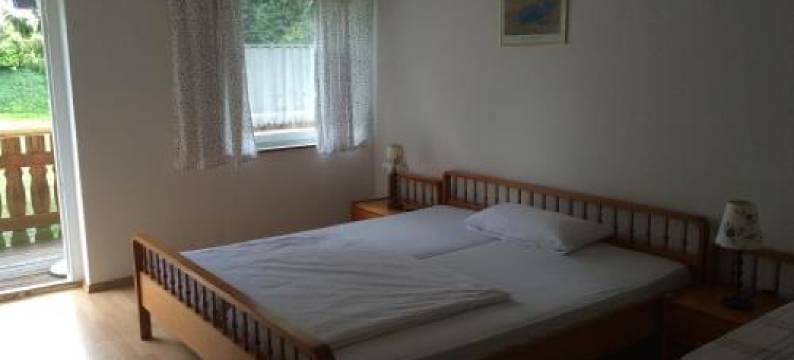 斯尔伯尔迪斯泰尔膳食公寓酒店(Pension Silberdistel)图片