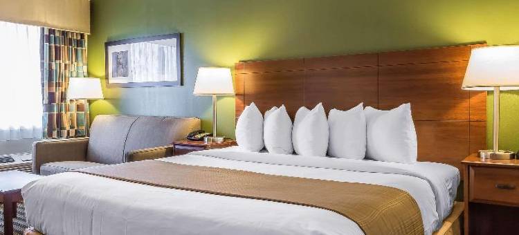 凯艺酒店-弗拉明戈(Quality Inn Flamingo)图片