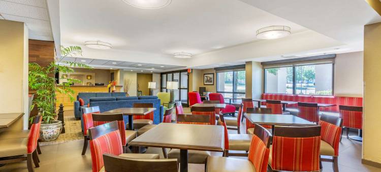 昆提科斯塔福德舒适酒店(Comfort Inn Quantico)图片