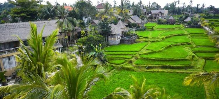 瓦卡迪尤美乌布酒店(Wapa di Ume Ubud)图片