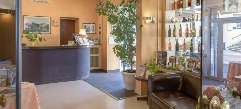 巴克之家酒店(Logis Hôtel & Restaurant de la Barque)图片