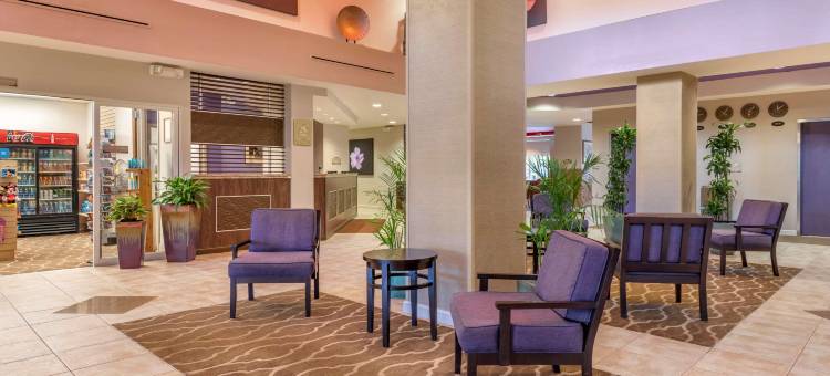 东铭基舒适套房酒店(Comfort Suites Maingate East)图片