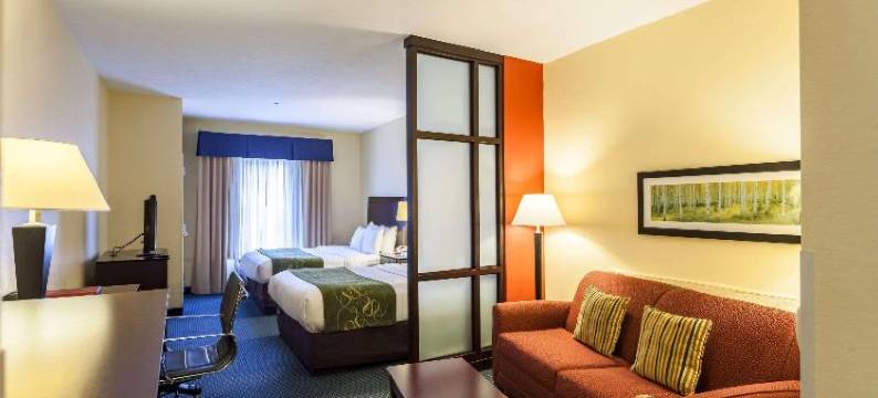 林肯东舒适套房酒店-购物区(Comfort Suites East Lincoln - Mall Area)图片