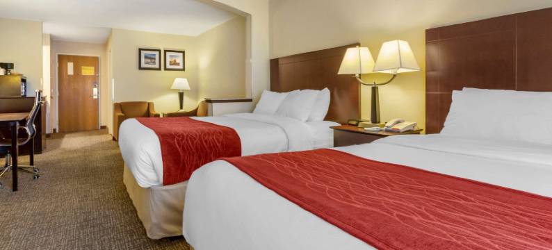 北图森马拉纳舒适套房酒店(Comfort Inn & Suites North Tucson Marana)图片