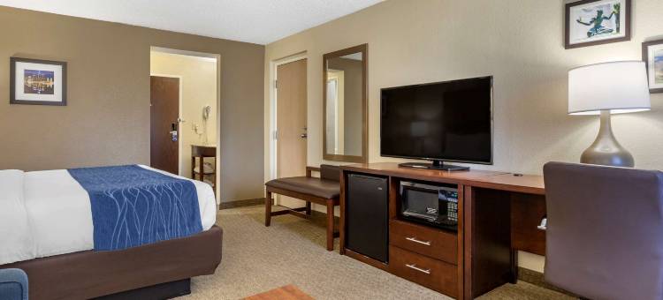 绿色田野村落舒适酒店(Comfort Inn Near Greenfield Village)图片