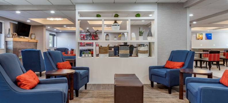 绿色田野村落舒适酒店(Comfort Inn Near Greenfield Village)图片