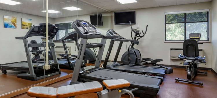 绿色田野村落舒适酒店(Comfort Inn Near Greenfield Village)图片