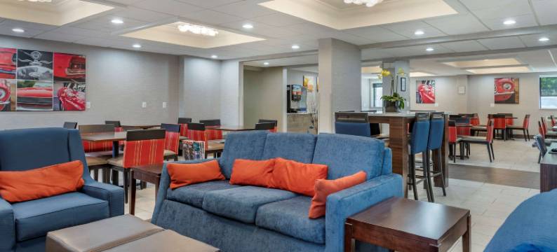 绿色田野村落舒适酒店(Comfort Inn Near Greenfield Village)图片