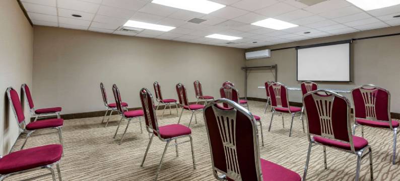 舒适酒店(Comfort Inn)图片