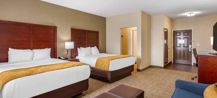 舒适套房酒店(Comfort Suites)图片