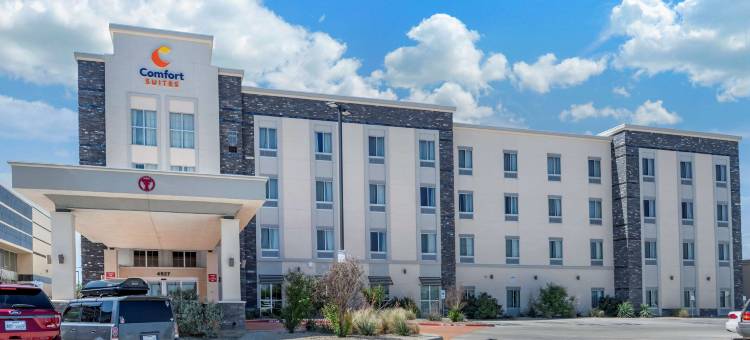 舒适套房酒店-大学(Comfort Suites - University)图片