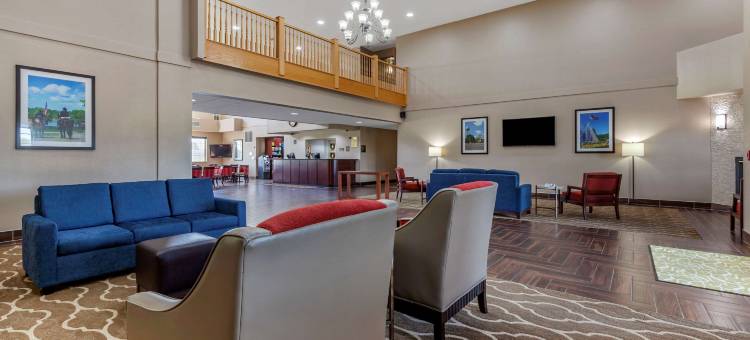 舒适套房酒店-德拉文日内瓦湖区(Comfort Suites Delavan - Lake Geneva Area)图片